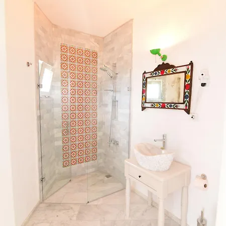 Kozanogluhan Boutique 2* アラカティ